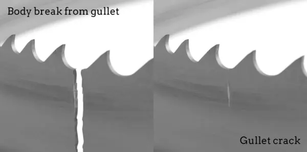 16-Body-Breakage-Or-Cracks-From-Gullets