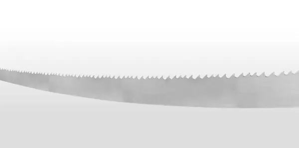 19-Used-Band-Is-Short-On-The-Tooth-Edge