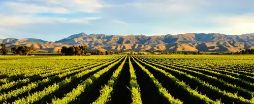 Bandsaw Blades Nelson & Blenheim hero image