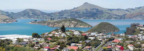Bandsaw Blades Dunedin, city view