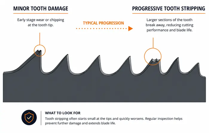 Diagram showing minor tooth damage progressing into bandsaw blade tooth stripping during metal cutting.