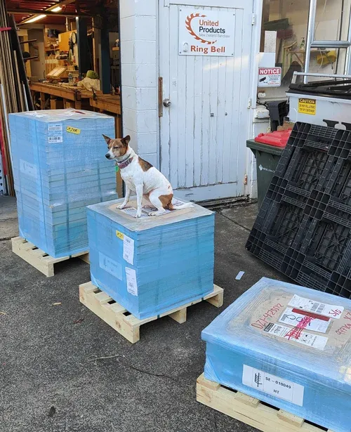 Darcy the fox terrier is inspecting 3 pallets of Hakansson bimetal bandsaw blades